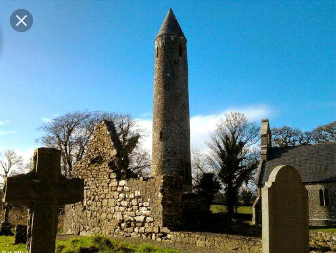 Oak House Laois B&B Portarlington Dış mekan fotoğraf