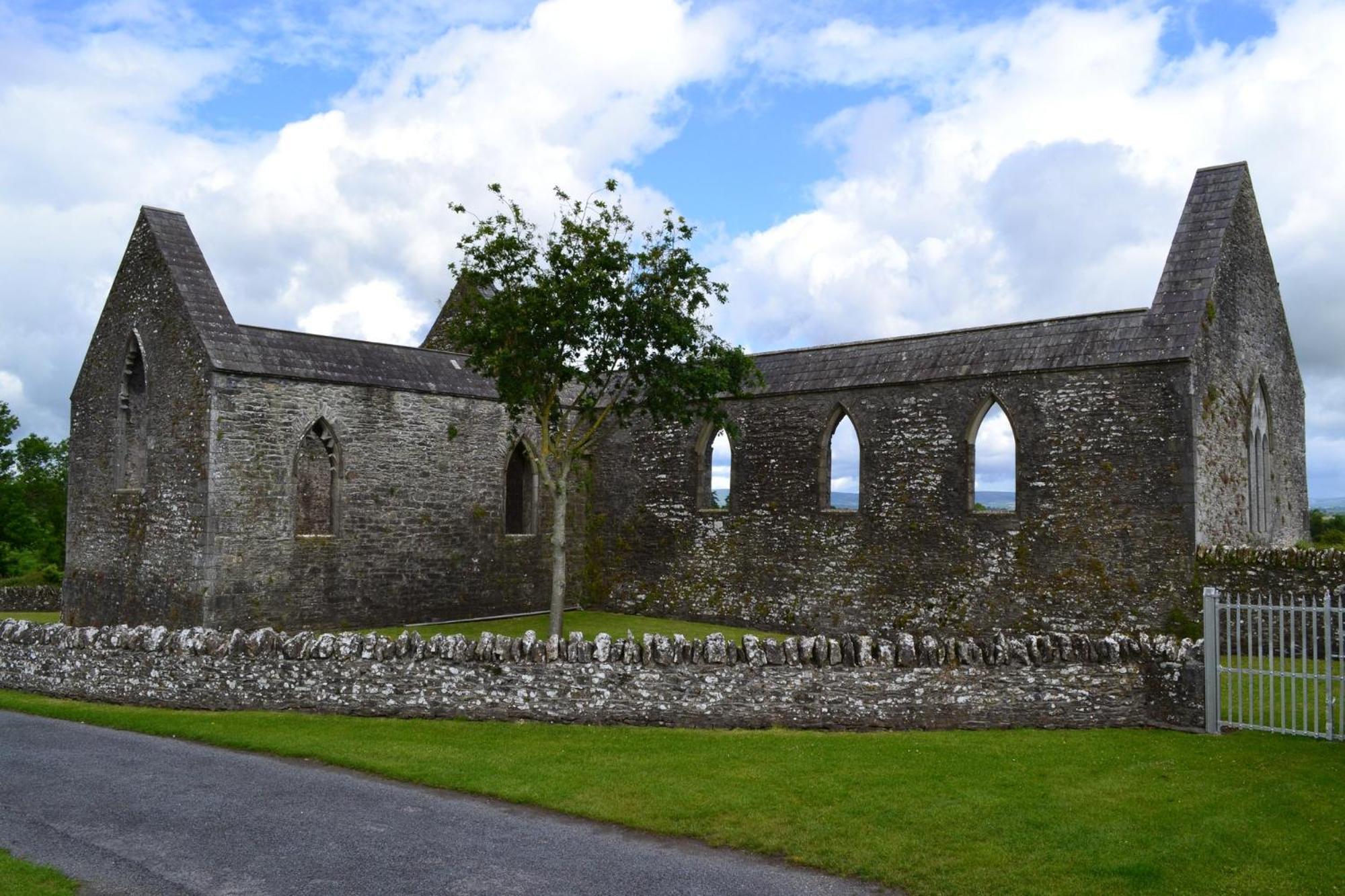 Oak House Laois B&B Portarlington Dış mekan fotoğraf